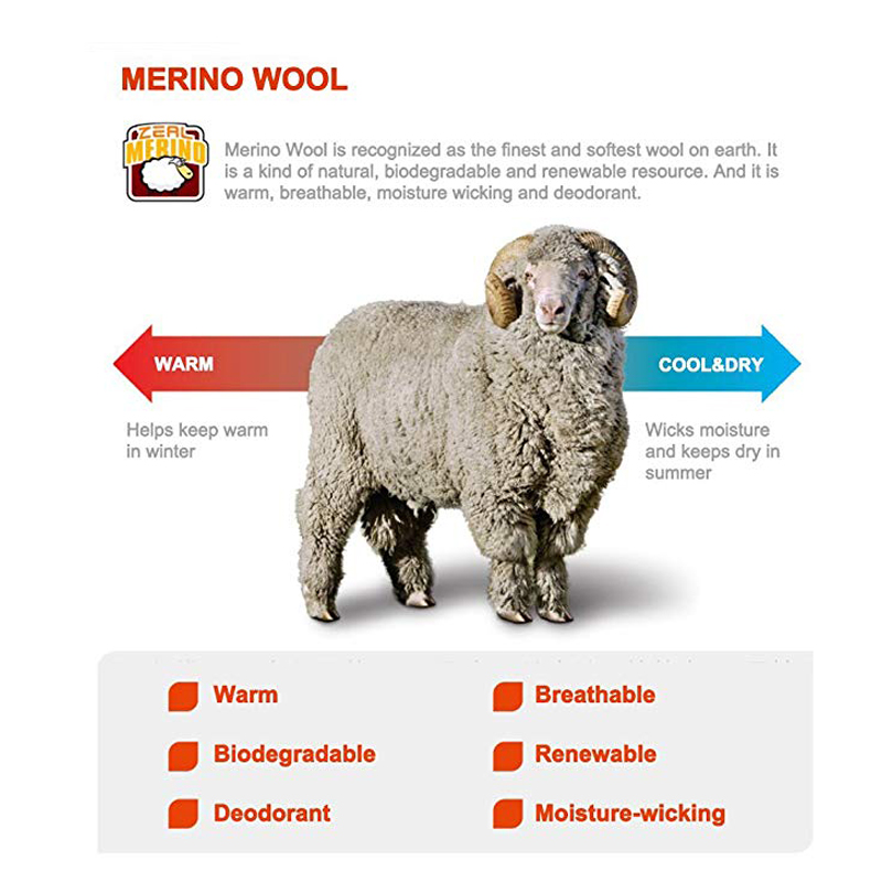 جوارب رياضية من صوف المارينو س - مراجعة Wool Hiking Sock وسعره